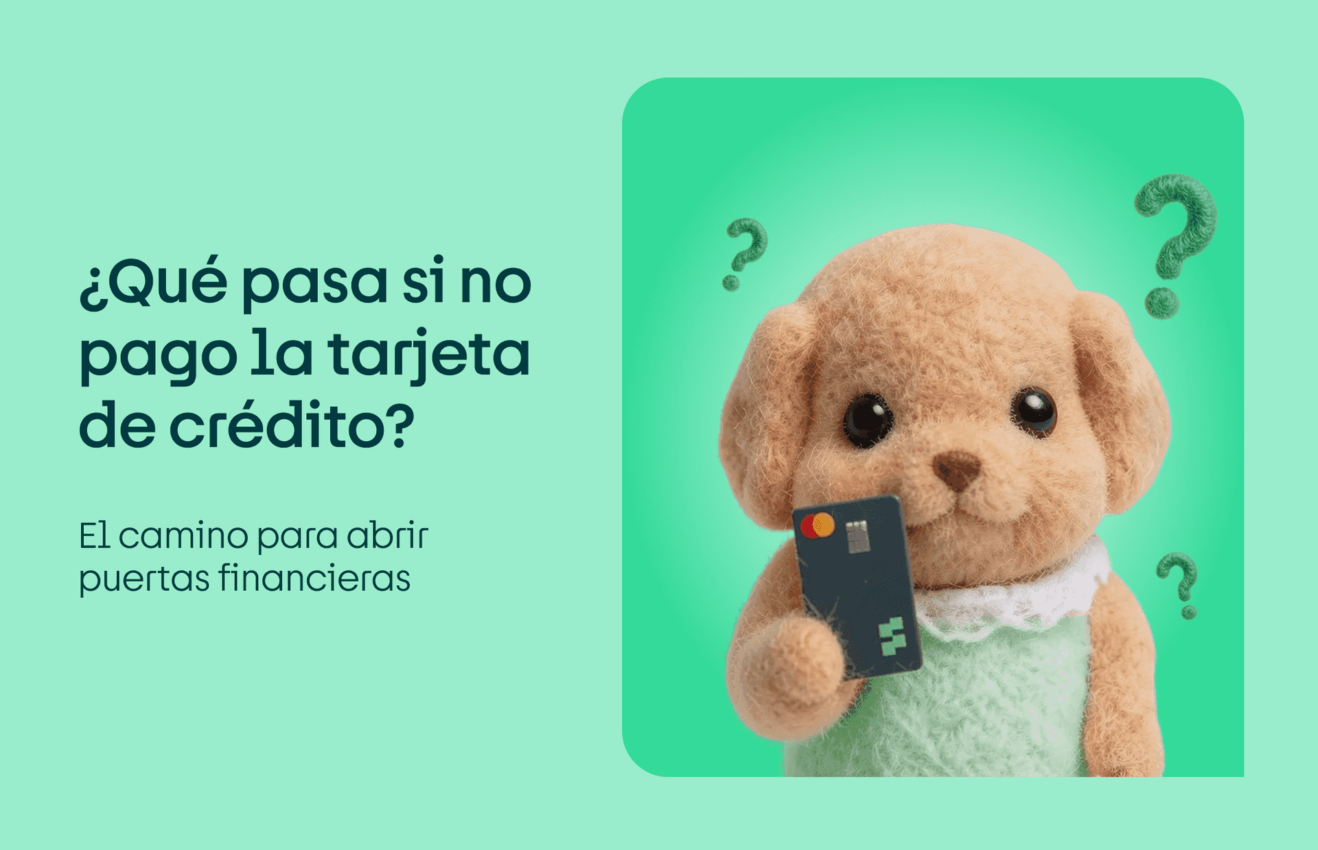 Qué pasa si no pago la tarjeta de crédito